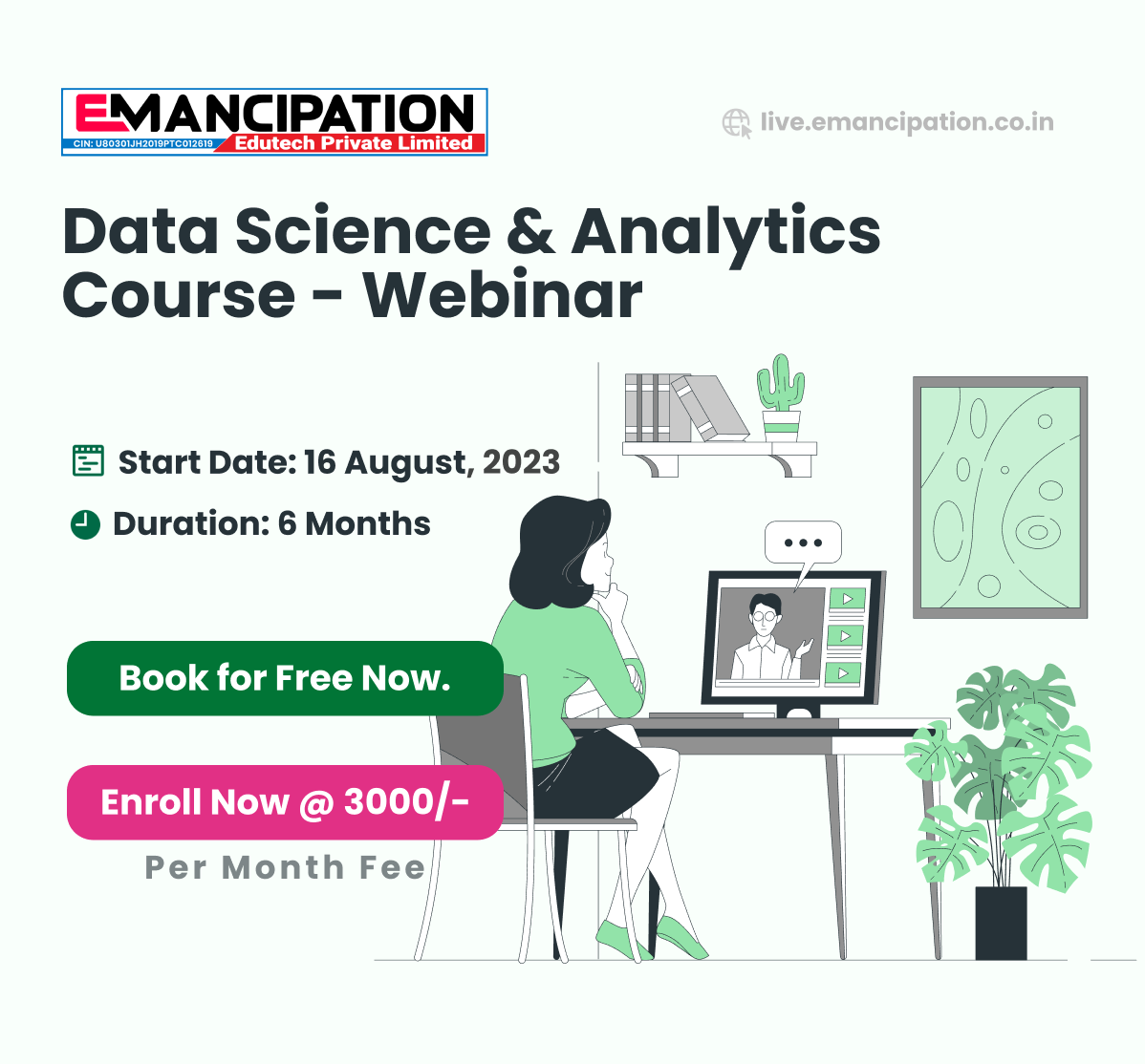Data Science and Analytics Essentials: Python, SQL, and Statistical Techniques Course