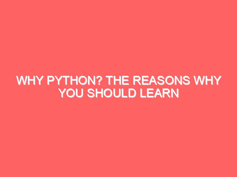 Why Python? The reasons why you should learn Python in 2024